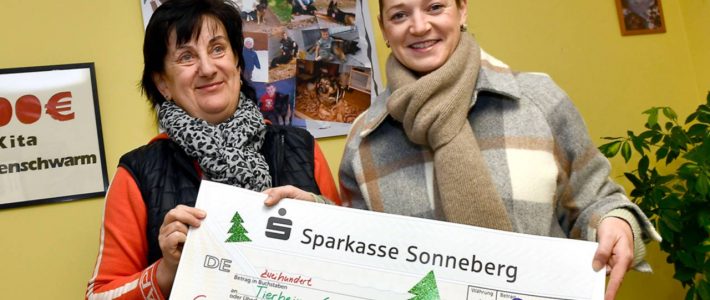 Tierheimspende statt Weihnachtspost Tierheimspende statt Weihnachtspost