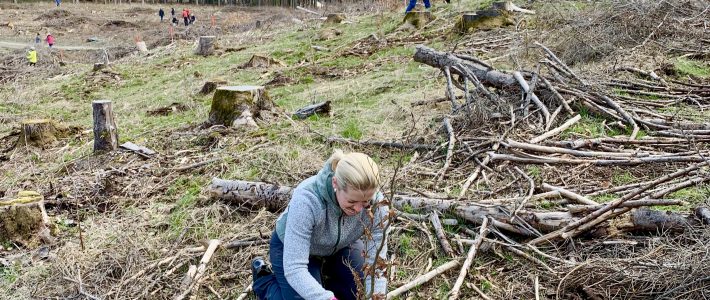 Staatswald im Landkreis Sonneberg soll frei von Windrädern bleiben