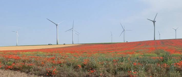 „Der Bundesrat muss jetzt zügig handeln“ Bild zeigt Windräder in Landschaft